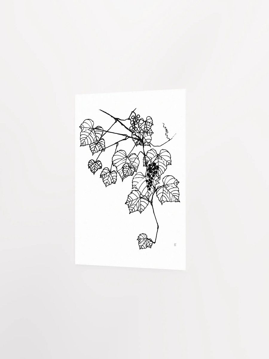 Vibrant Vineyard: Premium Matte Paper Poster - Grape Leaves Stylish product image (2)