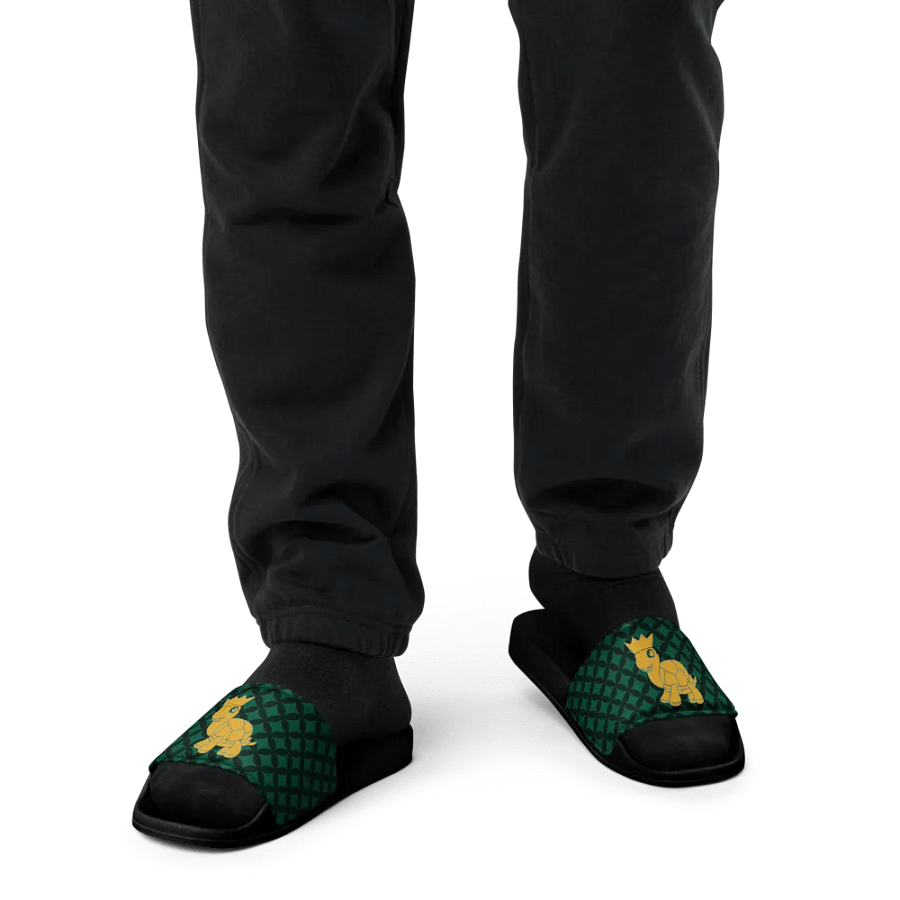 Crowned Turtle Men's Slides product image (12)