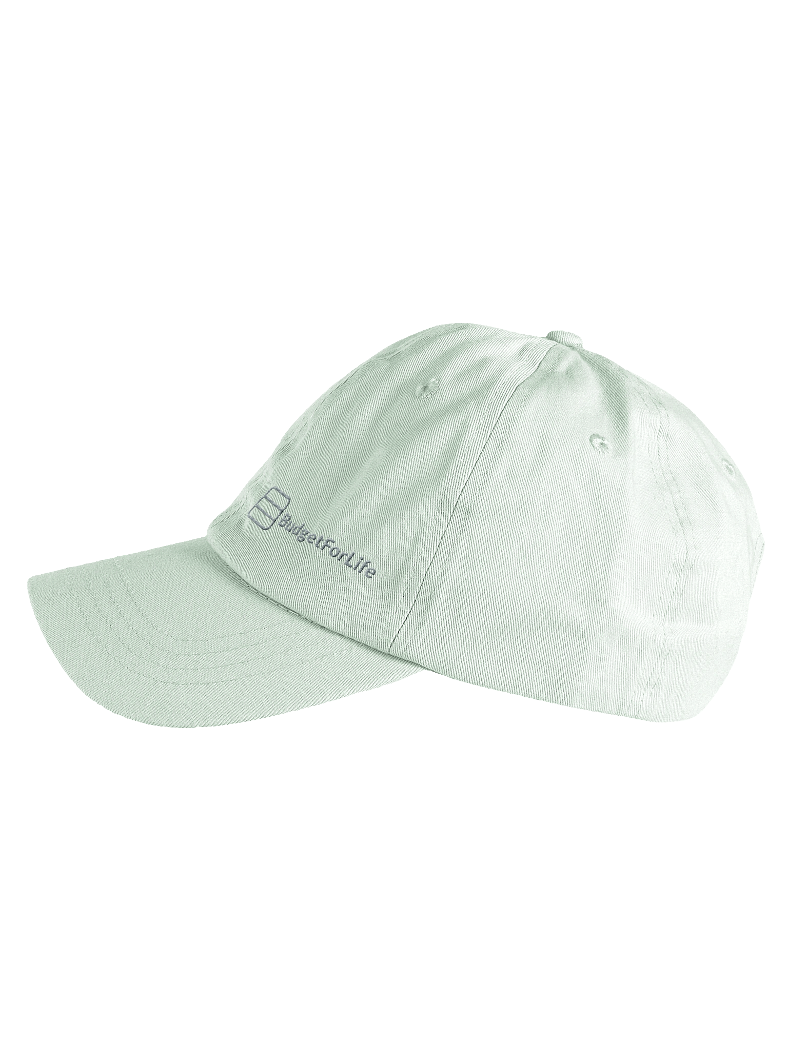 Embroidered BudgetForLife Hat product image (3)