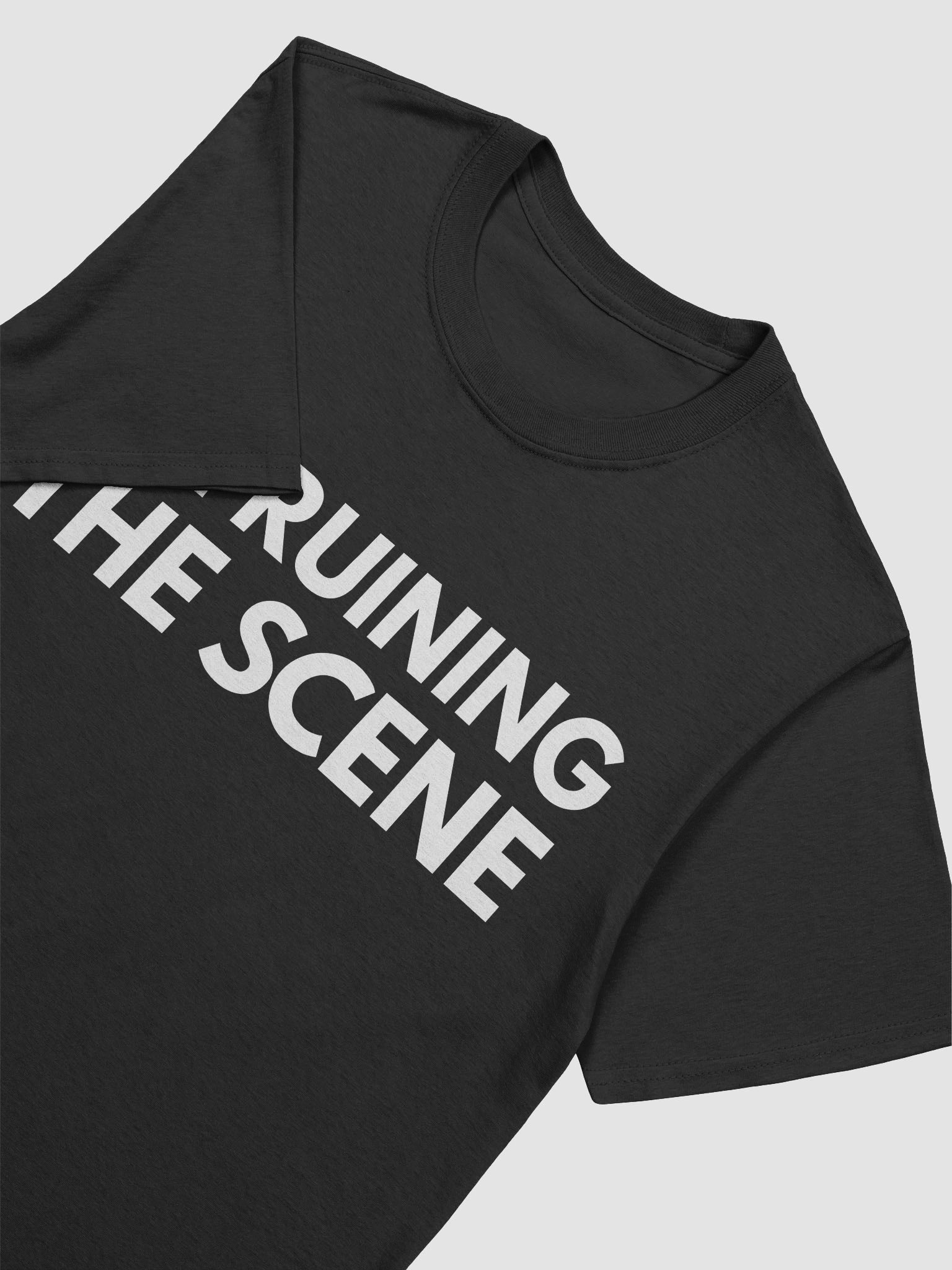 IRTS Tee! product image (2)