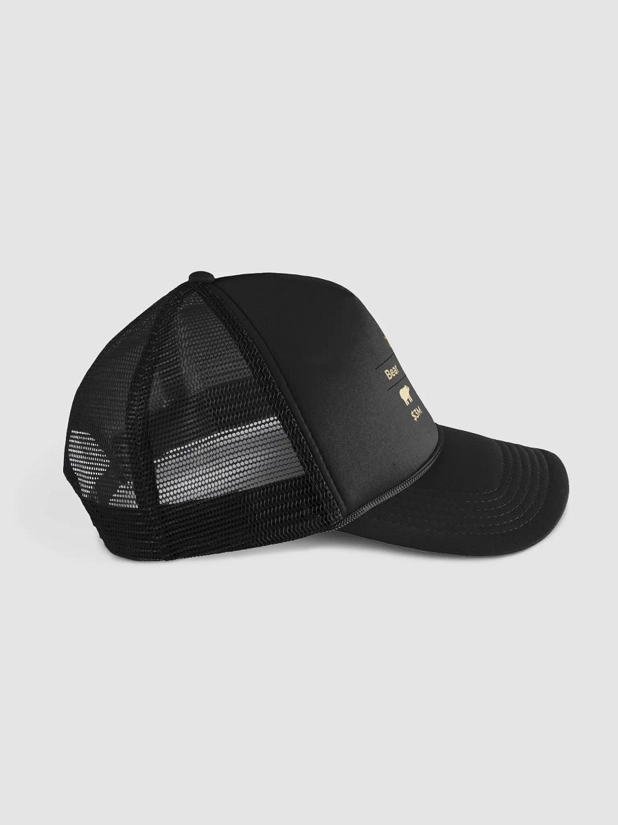 Bull Bear Base Hat product image (3)