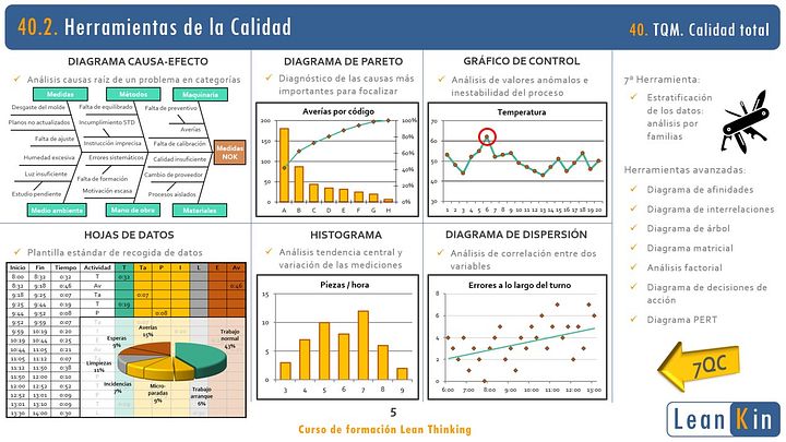 40. TQM (Total Quality Management). Calidad Total product image (2)