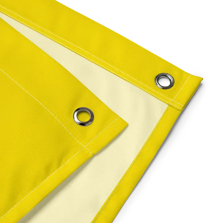 Nonpolar Nonbinary Pride Flag product image (2)