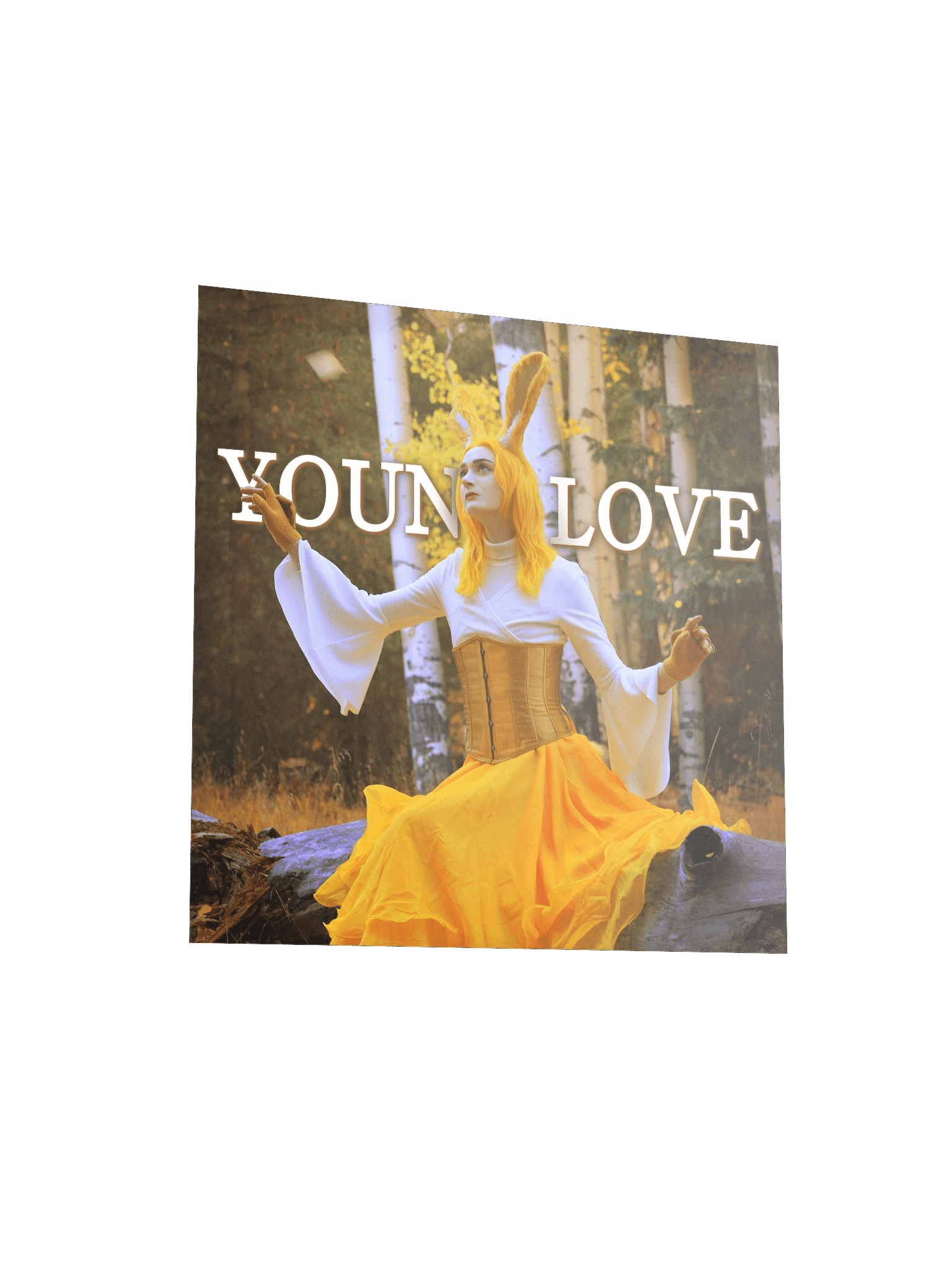 Young Love Poster [3 of 4] product image (3)