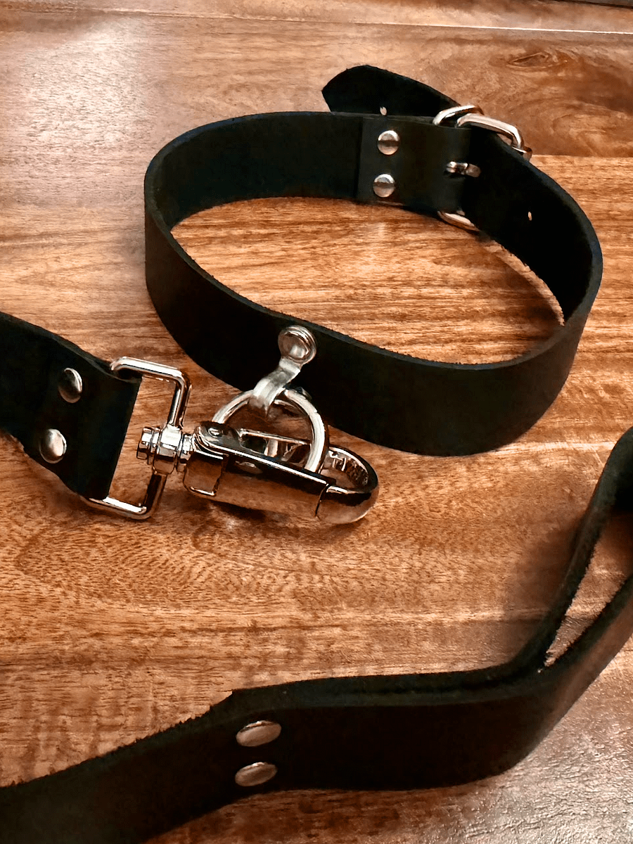Collar and leash (custom order) product image (1)