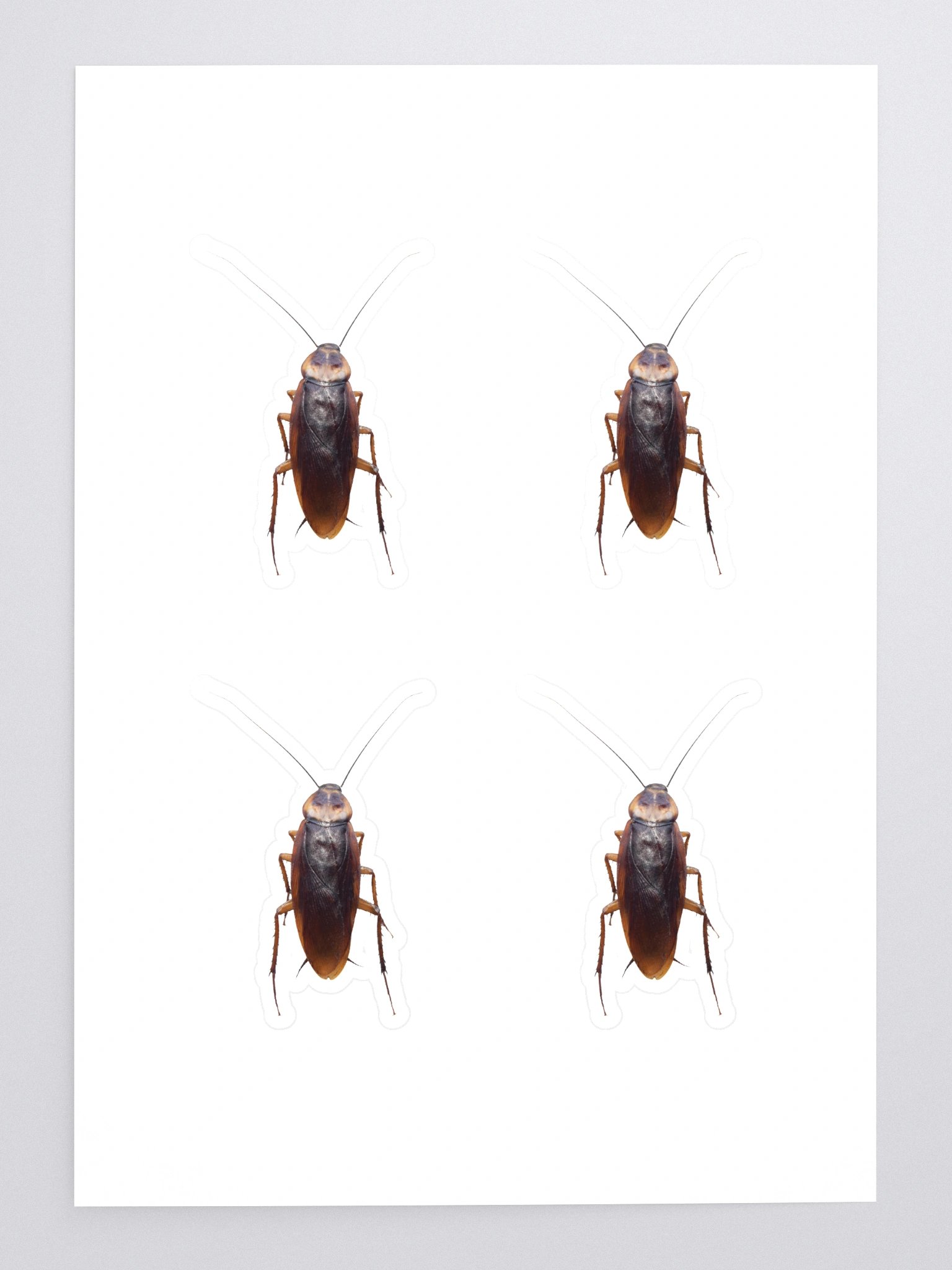 Roach Sticker product image (3)