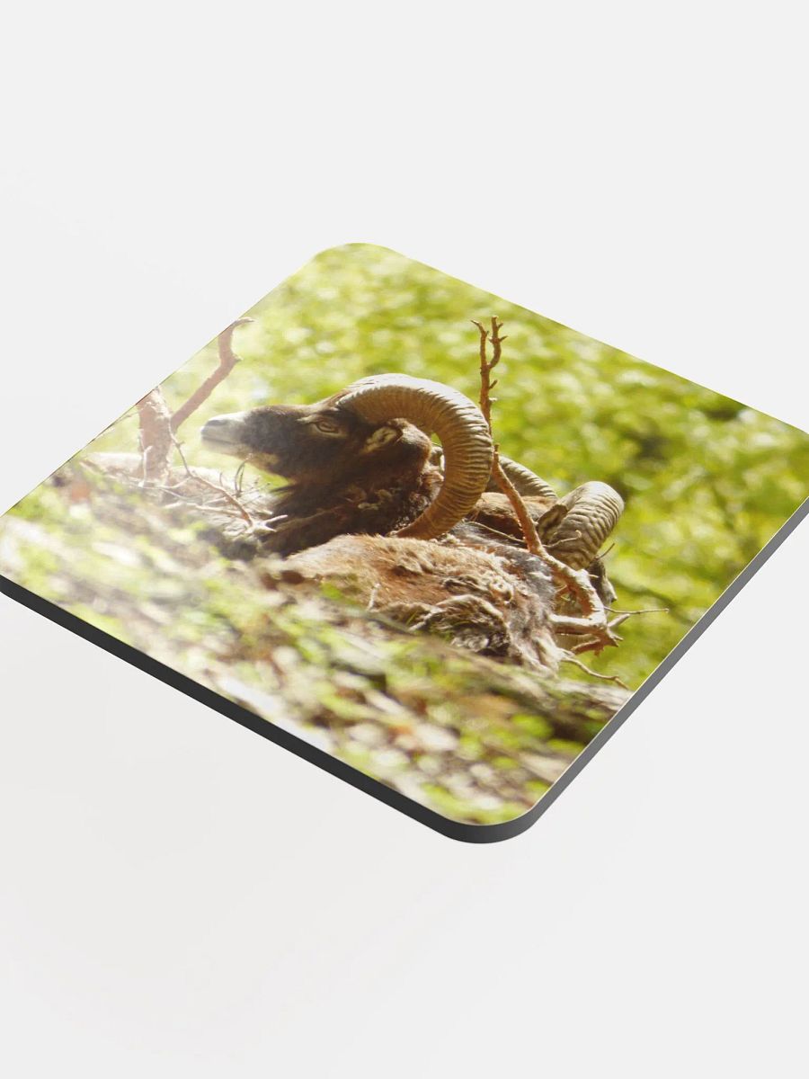 The European mouflon - Glossed Cork Coaster product image (4)