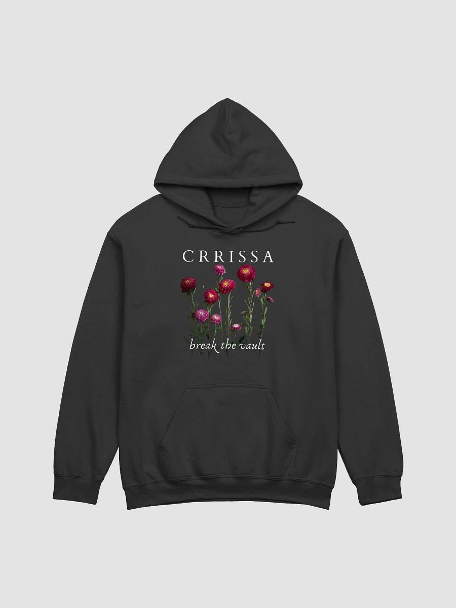 Crrissa - Break the Vault - Hoodies product image (1)