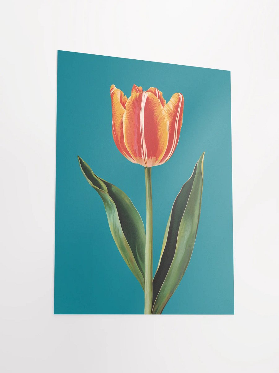 Tulip Print product image (18)
