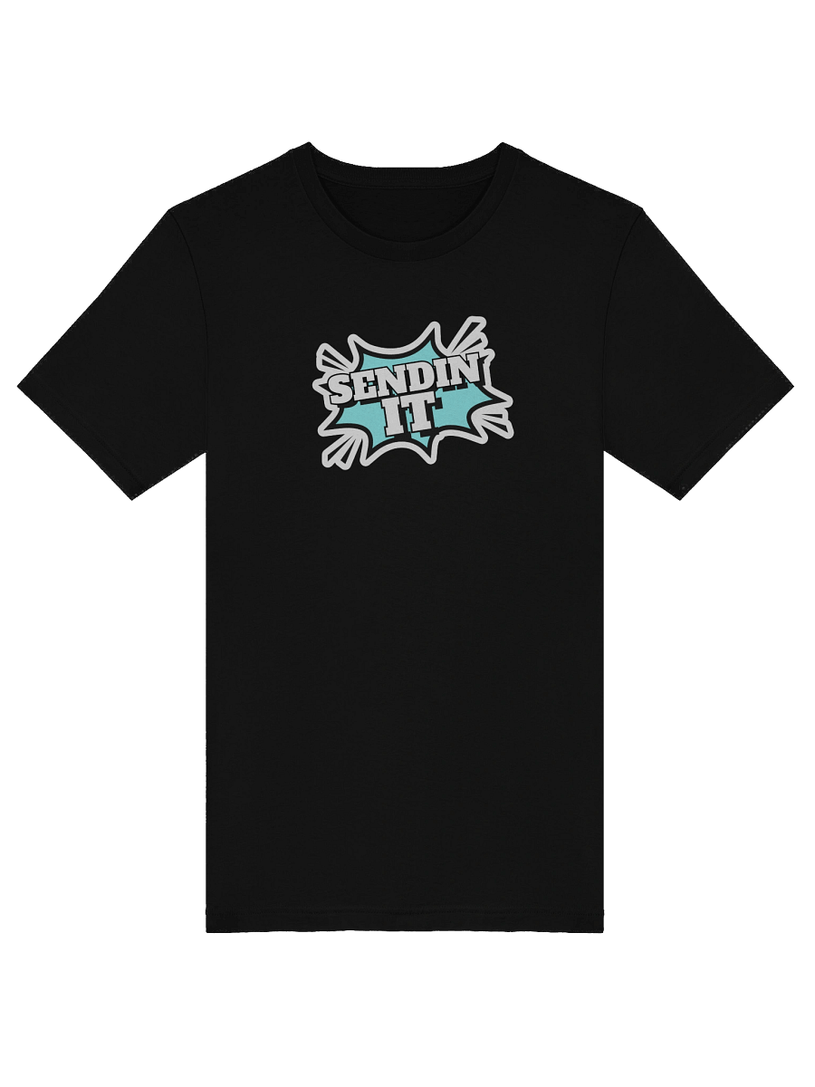 Sendin It! - Women's Tee product image (10)