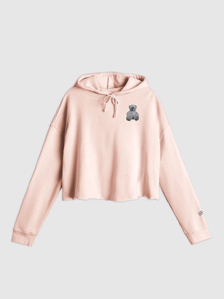 Teddy - Cropped Hoodie product image (31)