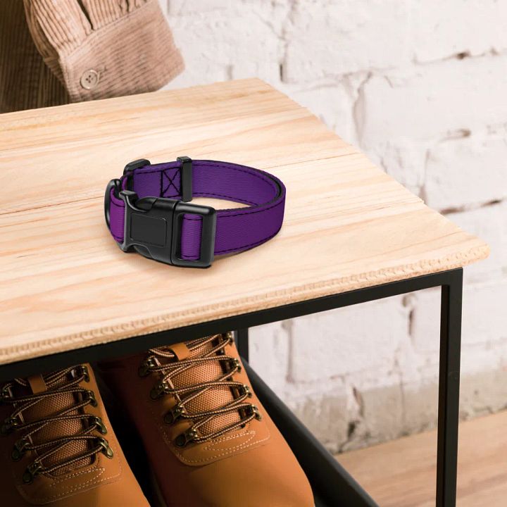 Collier Pour Animaux Dégradent product image (4)