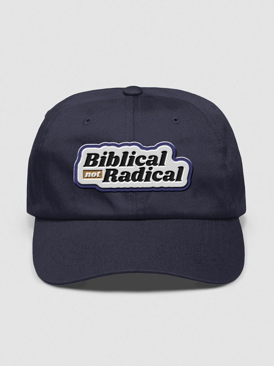 Hat: Biblical Not Radical (more colors available) product image (1)