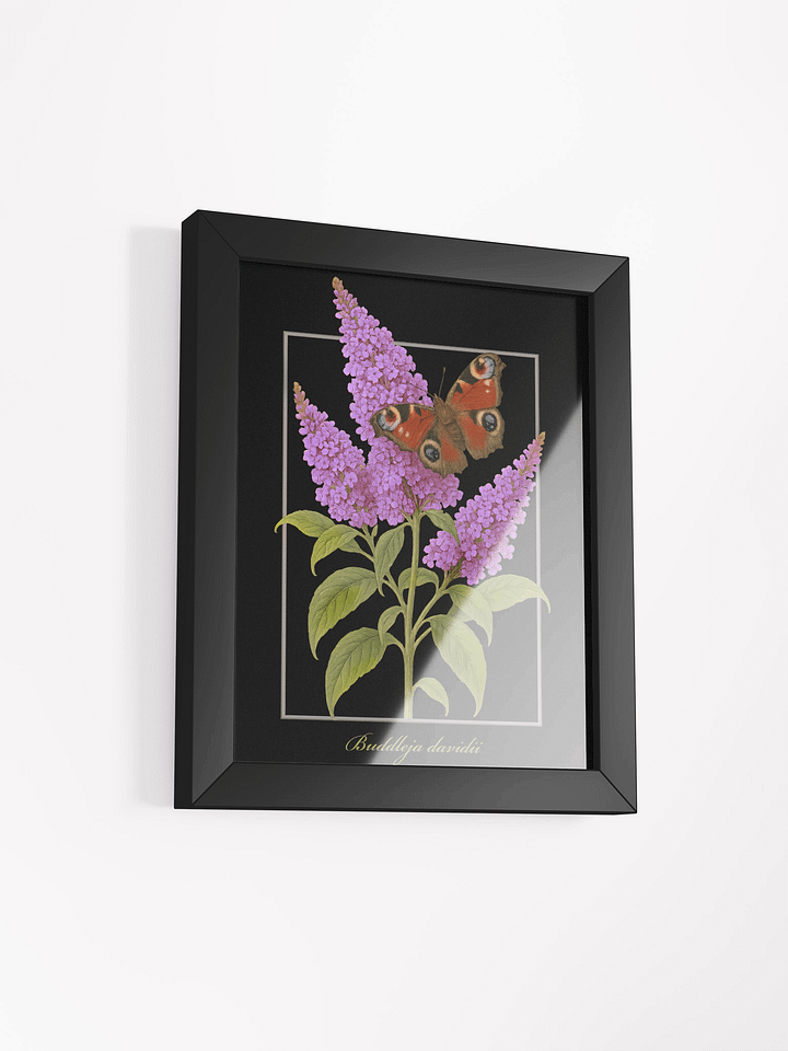 Butterfly bush and peacock butterfly Framed Matte Poster product image (20)