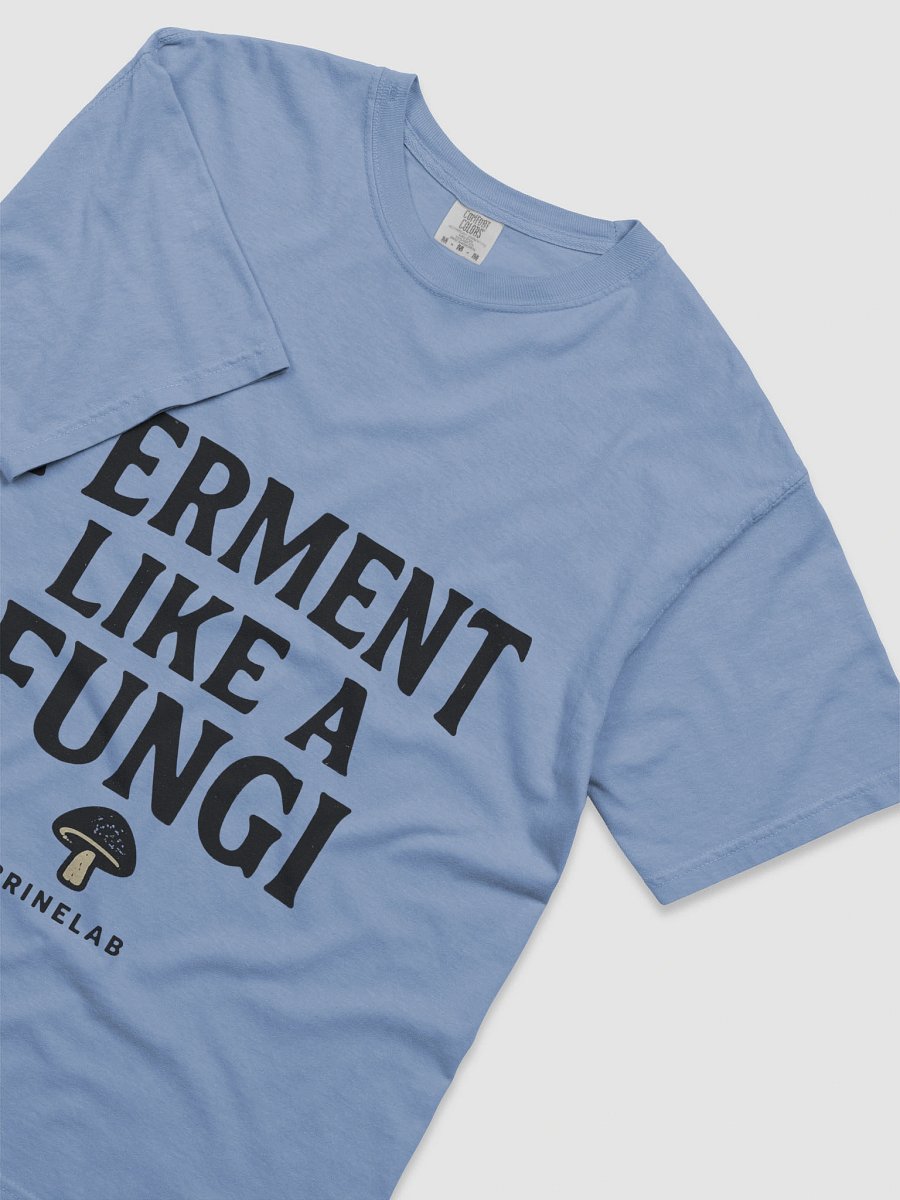 Ferment Like a Fungi Tee (Official BrineLab Edition) product image (27)