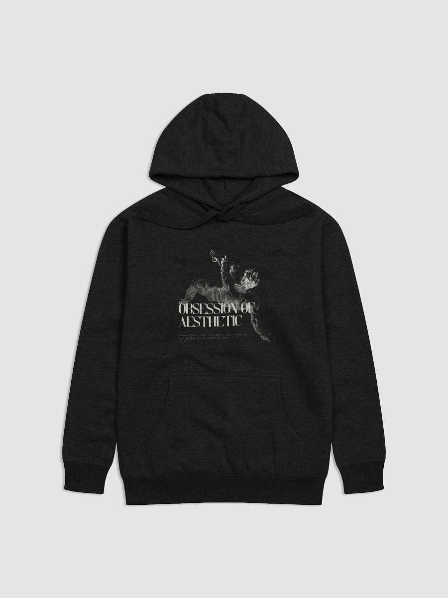 Premium Unisex Freefall Hoodie I product image (1)