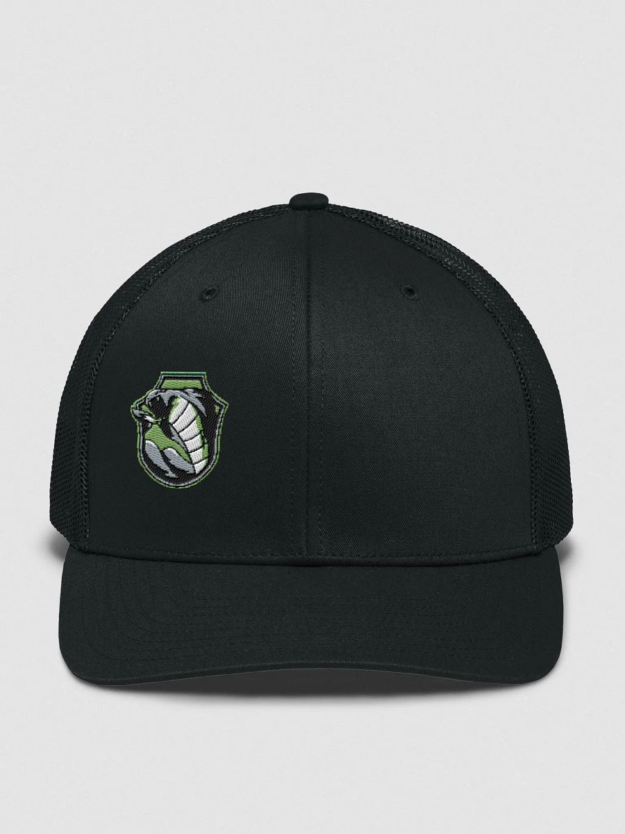 VenomGotYa Hat product image (4)