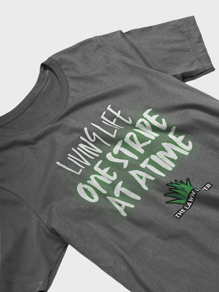 Living Life One Stripe at a Time T-Shirt product image (2)