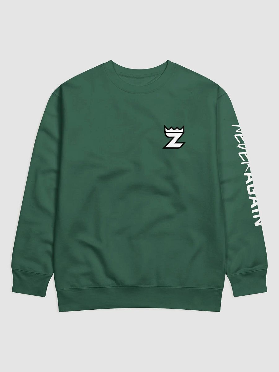 Never Again Sweatshirt - Green product image (1)