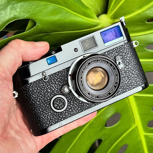 The last time I called this Canon 35mm L39 lens the ‘Japanese Summicron’ some people on Facebook got VERY angry with me. So, ...