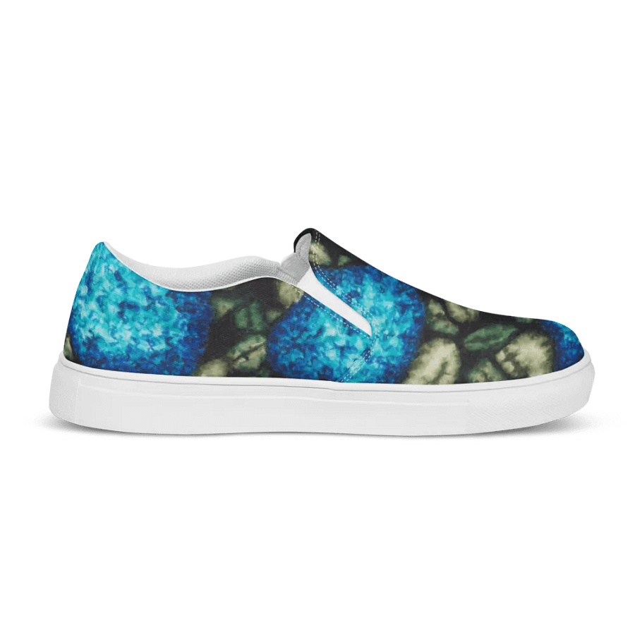 HYDRANGEAS IV women's slip-on canvas shoes product image (6)
