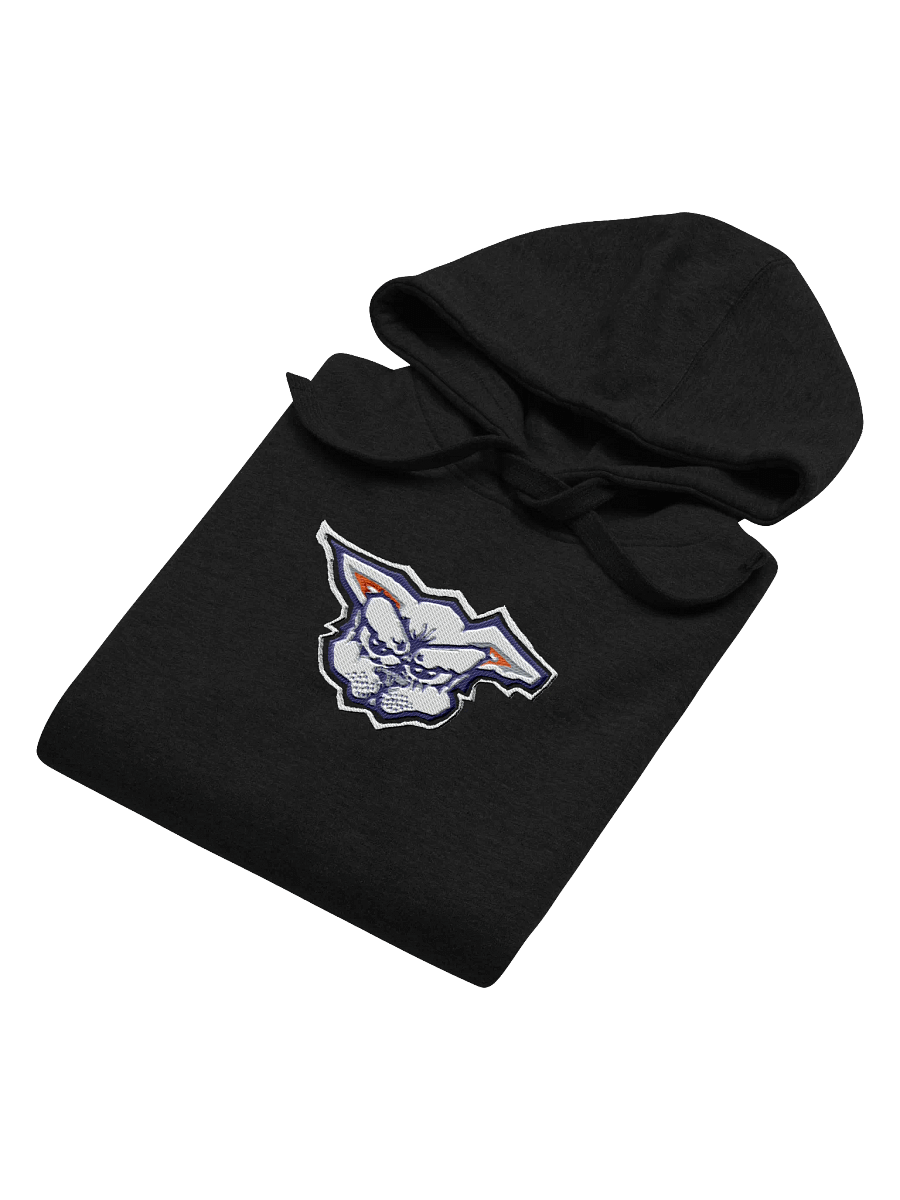 Team Schmungus Big Embroid Cotton Hoodie product image (4)