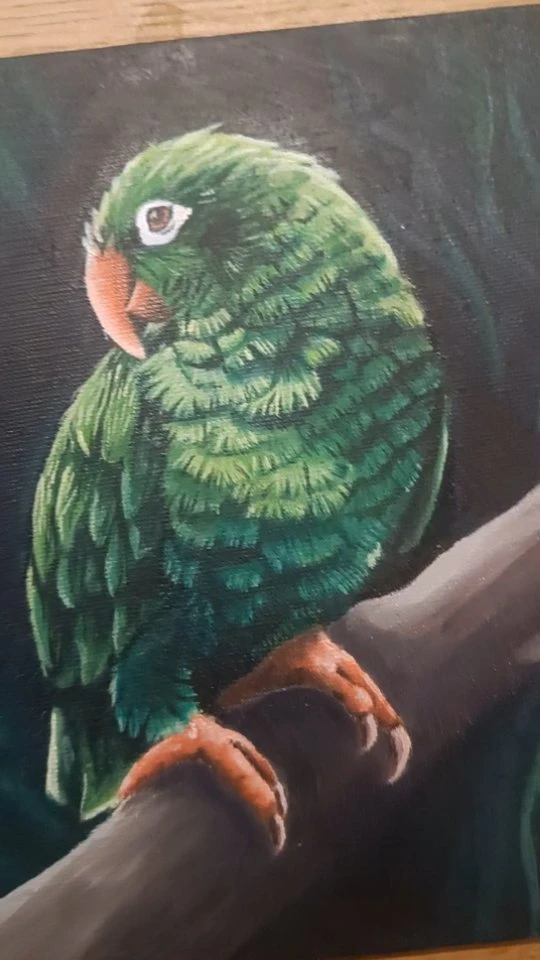 Green Bird

This beauty is signed and sealed and waiting to be varnished!

I usually wait quite a few weeks as oil paint need...