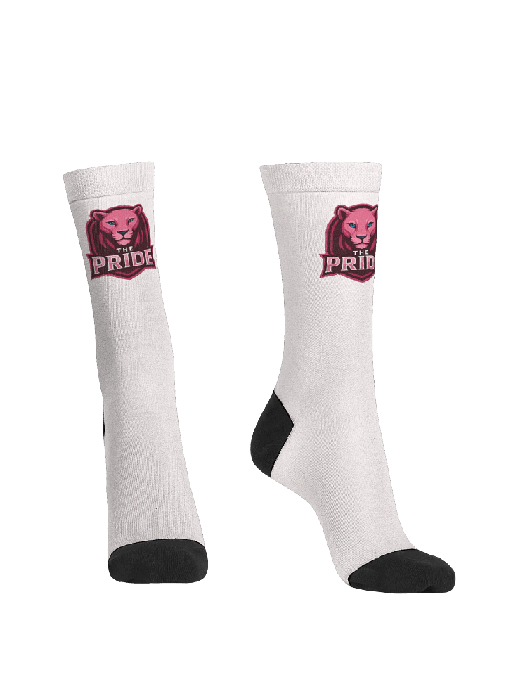 The Pride Socks product image (2)