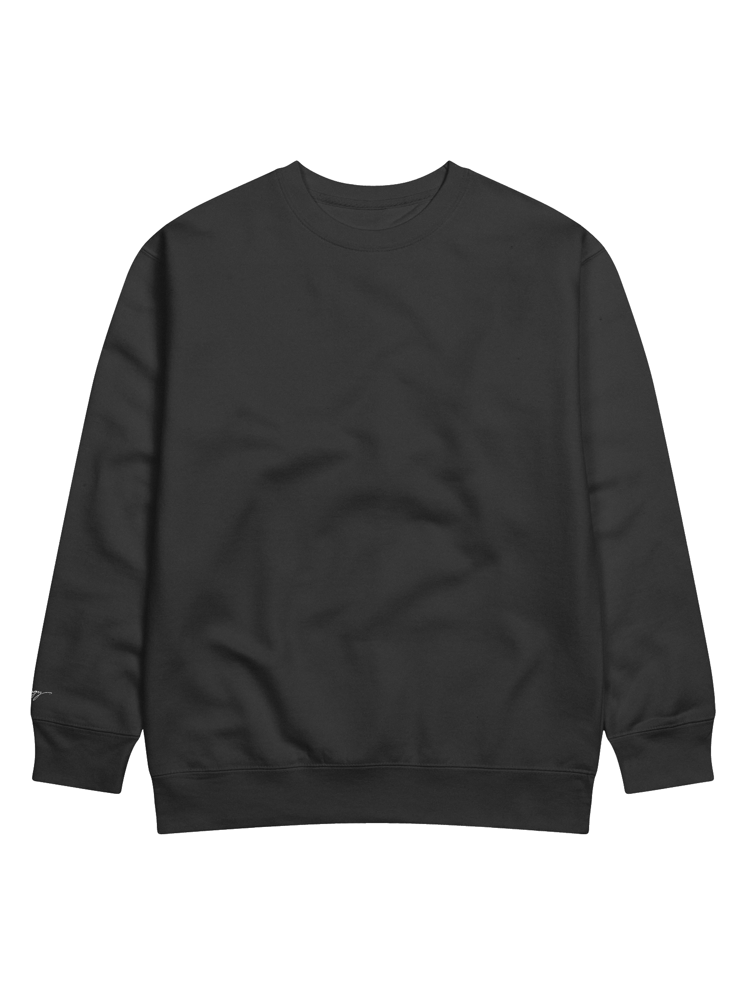 Simple Logo Crew Neck Sweatshirt product image (3)