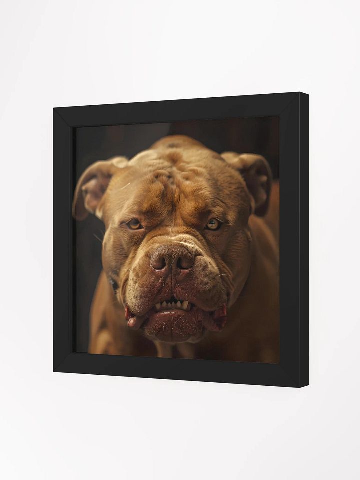 Mad Pitbull product image (24)