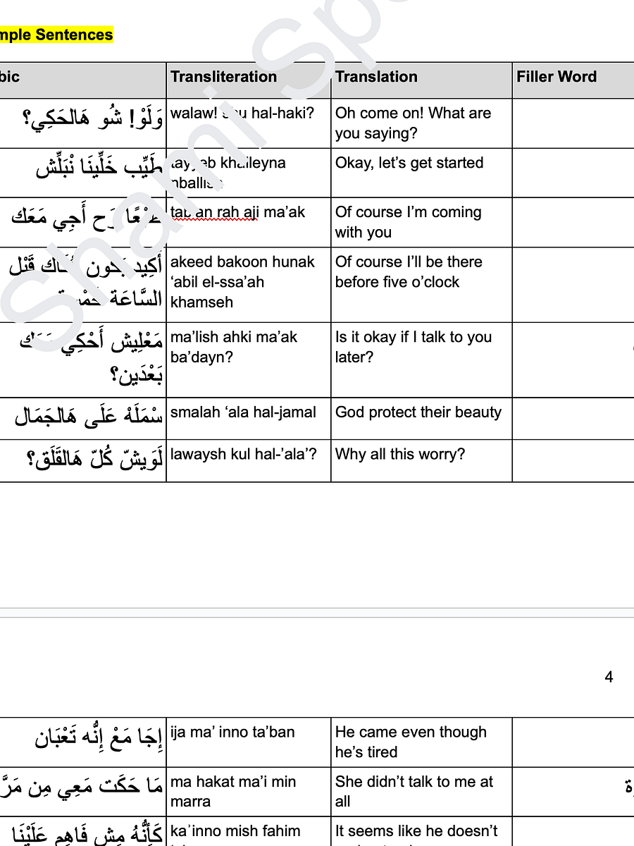 Everyday Filler Words You MUST KNOW in Levantine Arabic to Sound Native Part 2 product image (3)
