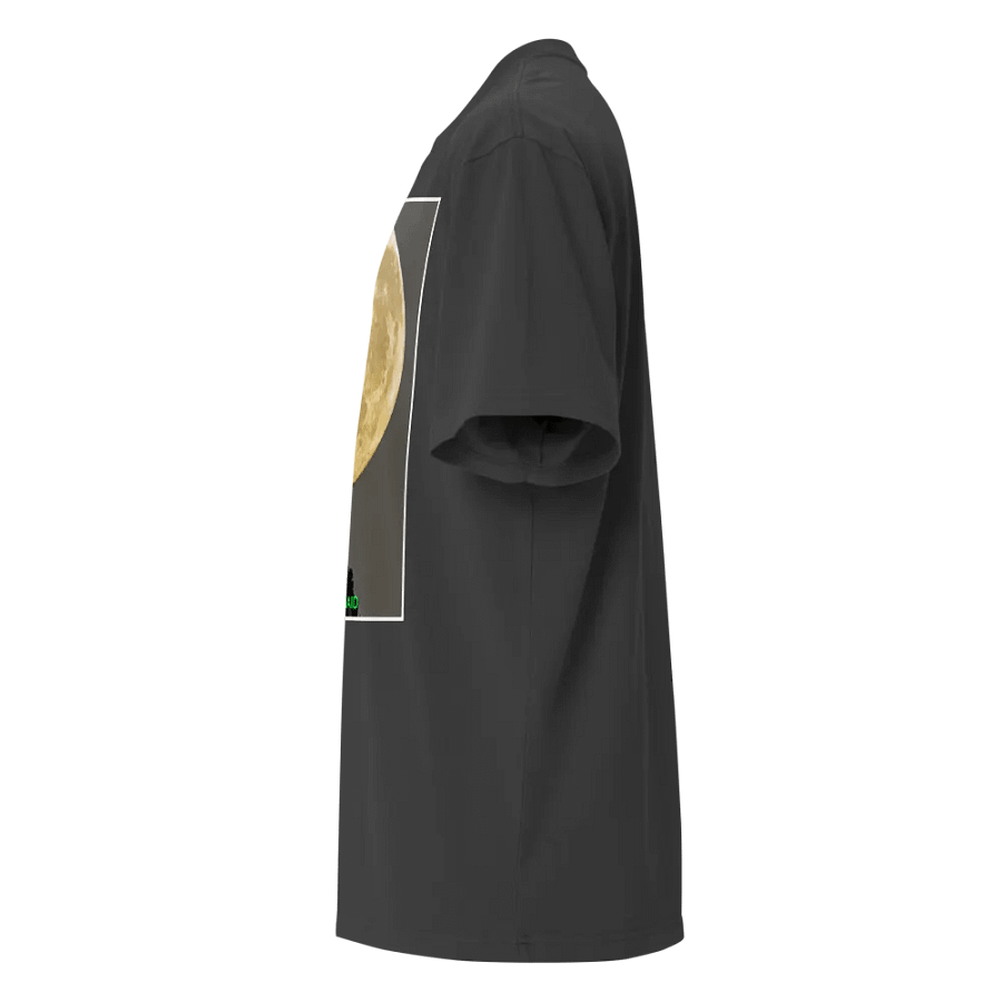 Christ the Redeemer Holding the Moon product image (11)