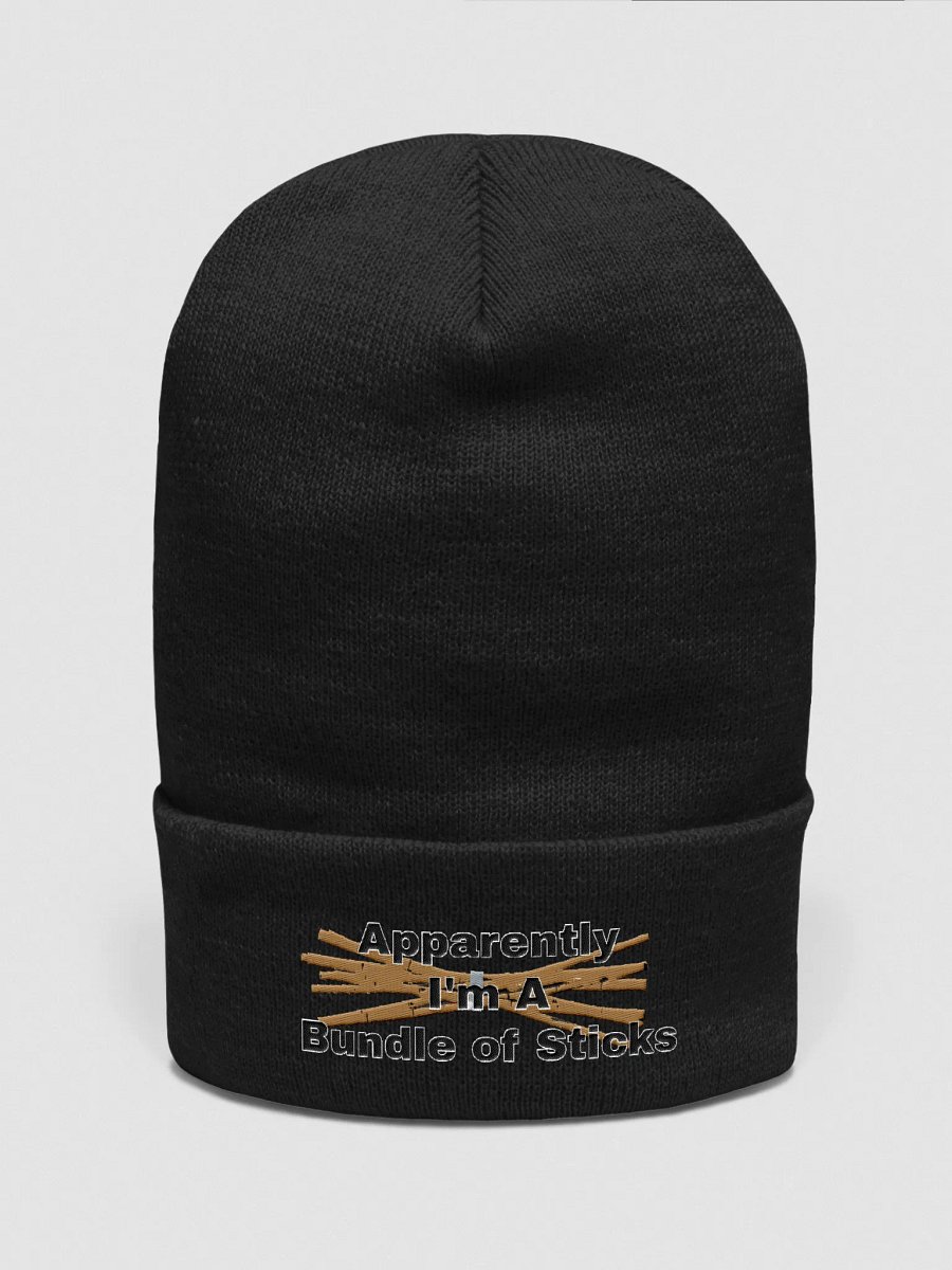 The Real Definition Beanie product image (1)