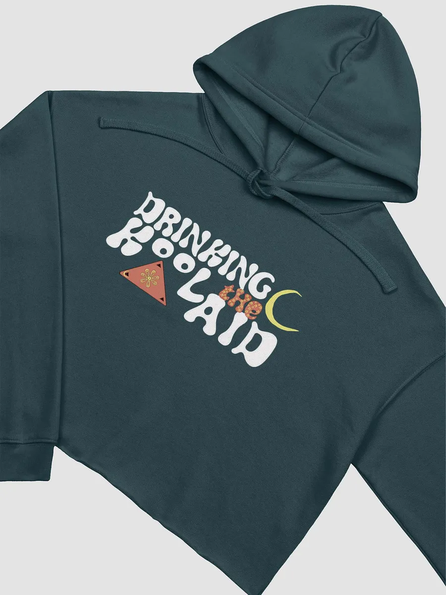 DTK 70's Logo Crop Top Sweatshirt! product image (14)