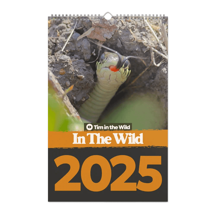 2025 In the Wild Wall Calendar product image (1)