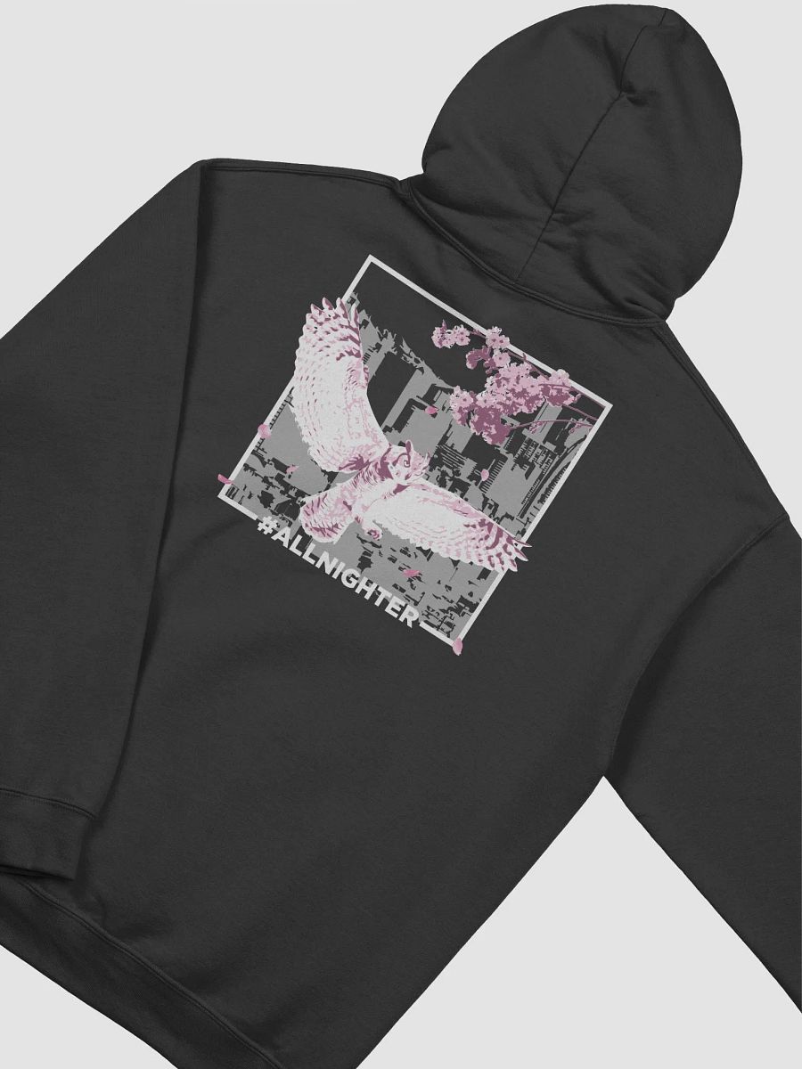 Flight Hoodie product image (4)