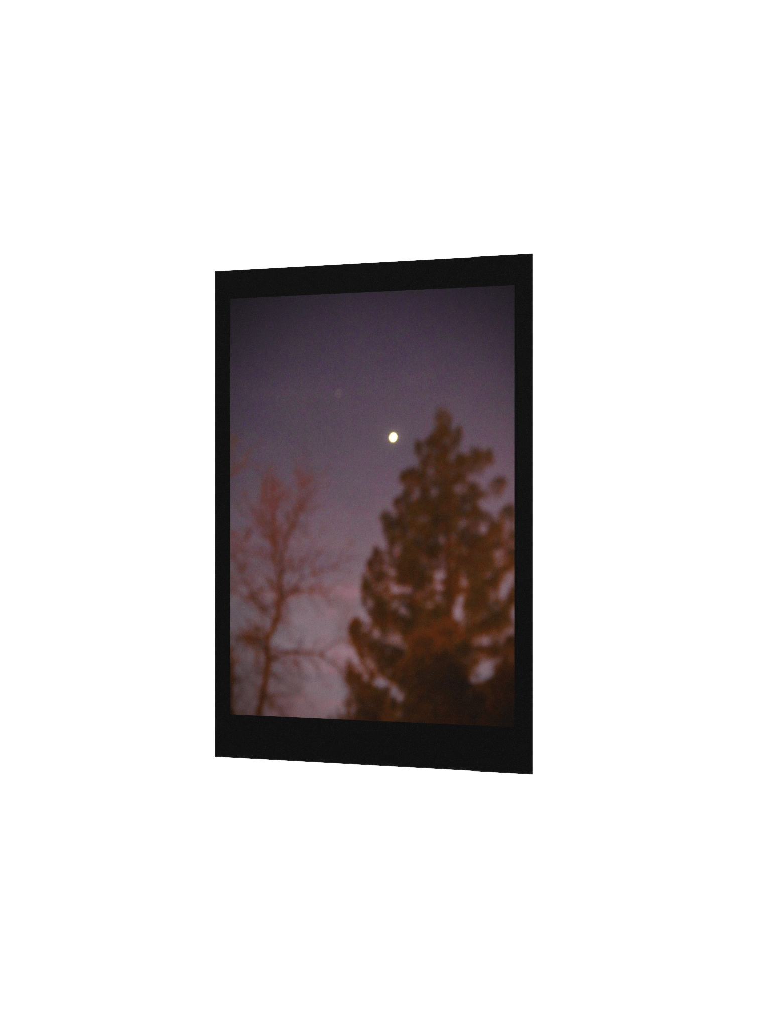 Purple Night product image (4)