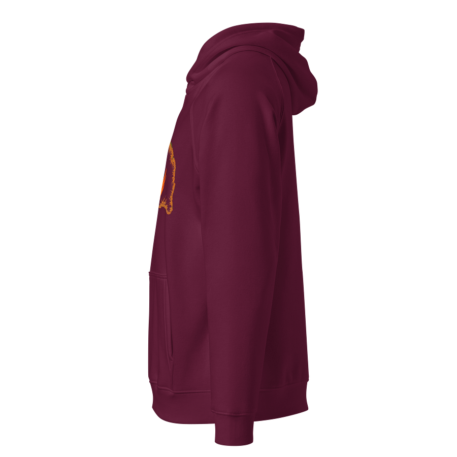 Dragon's Fury Eco Raglan Hoodie product image (2)