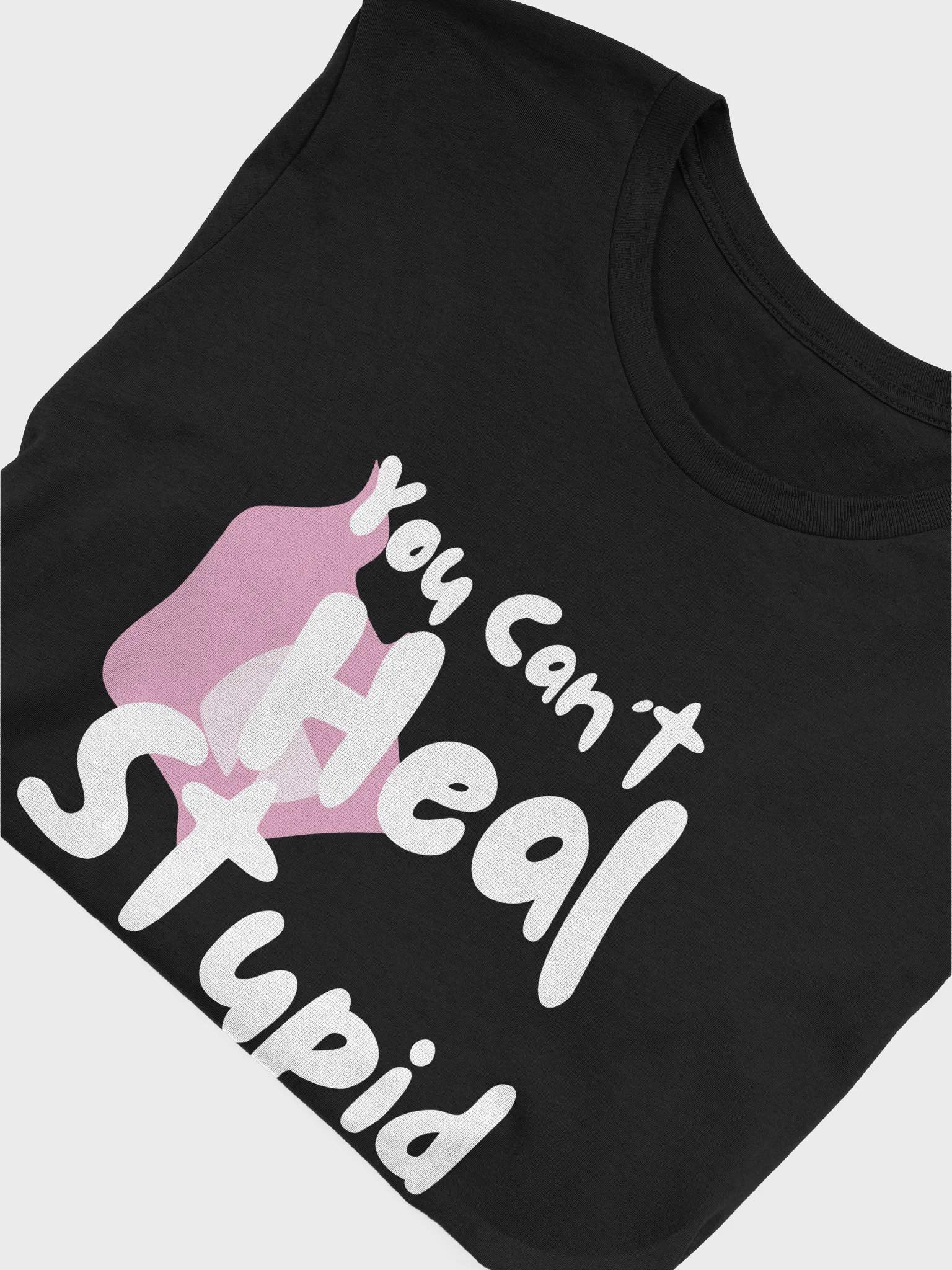 You Can't Heal Stupid Woman's Tee product image (5)