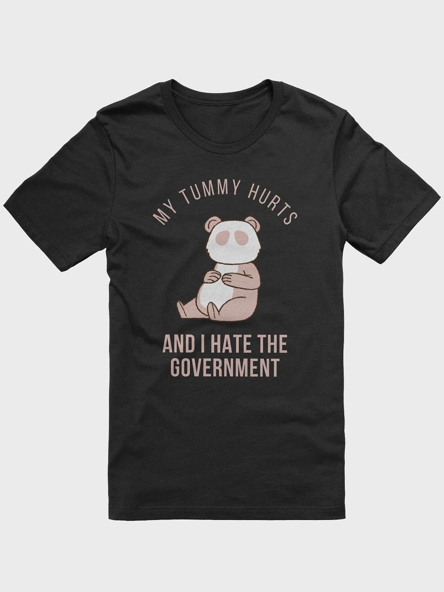 My Tummy Hurts and I Hate The Government product image (3)