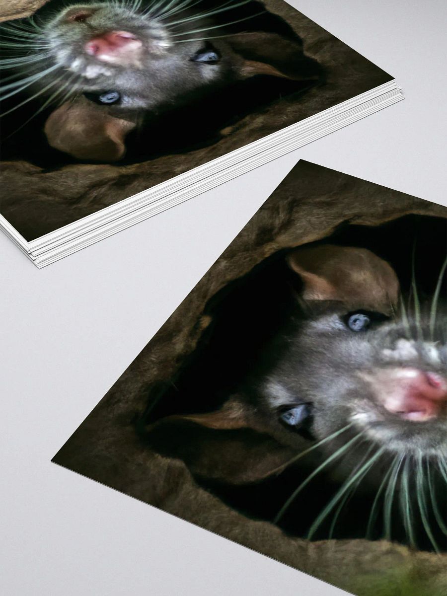 black rat in hole sticker product image (11)