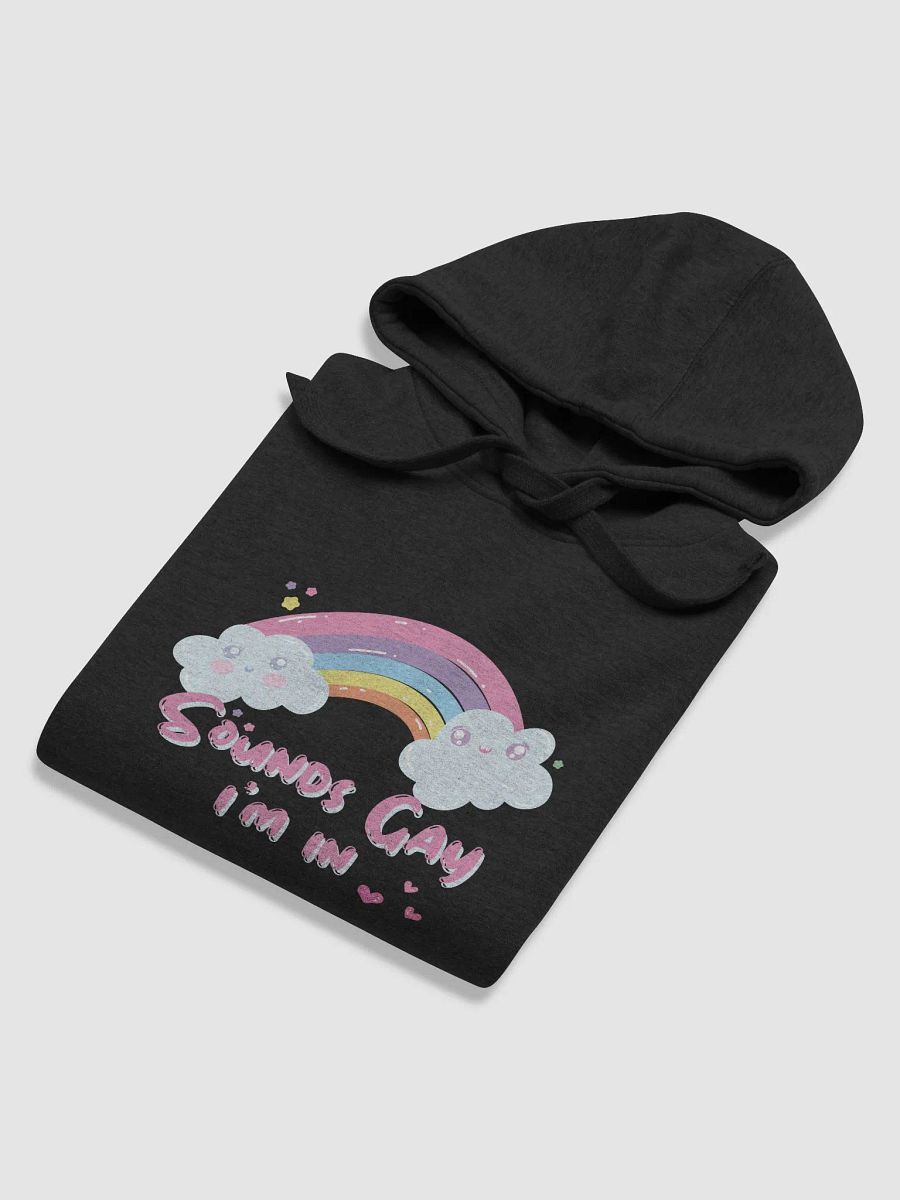 Sounds Gay Hoodie product image (5)