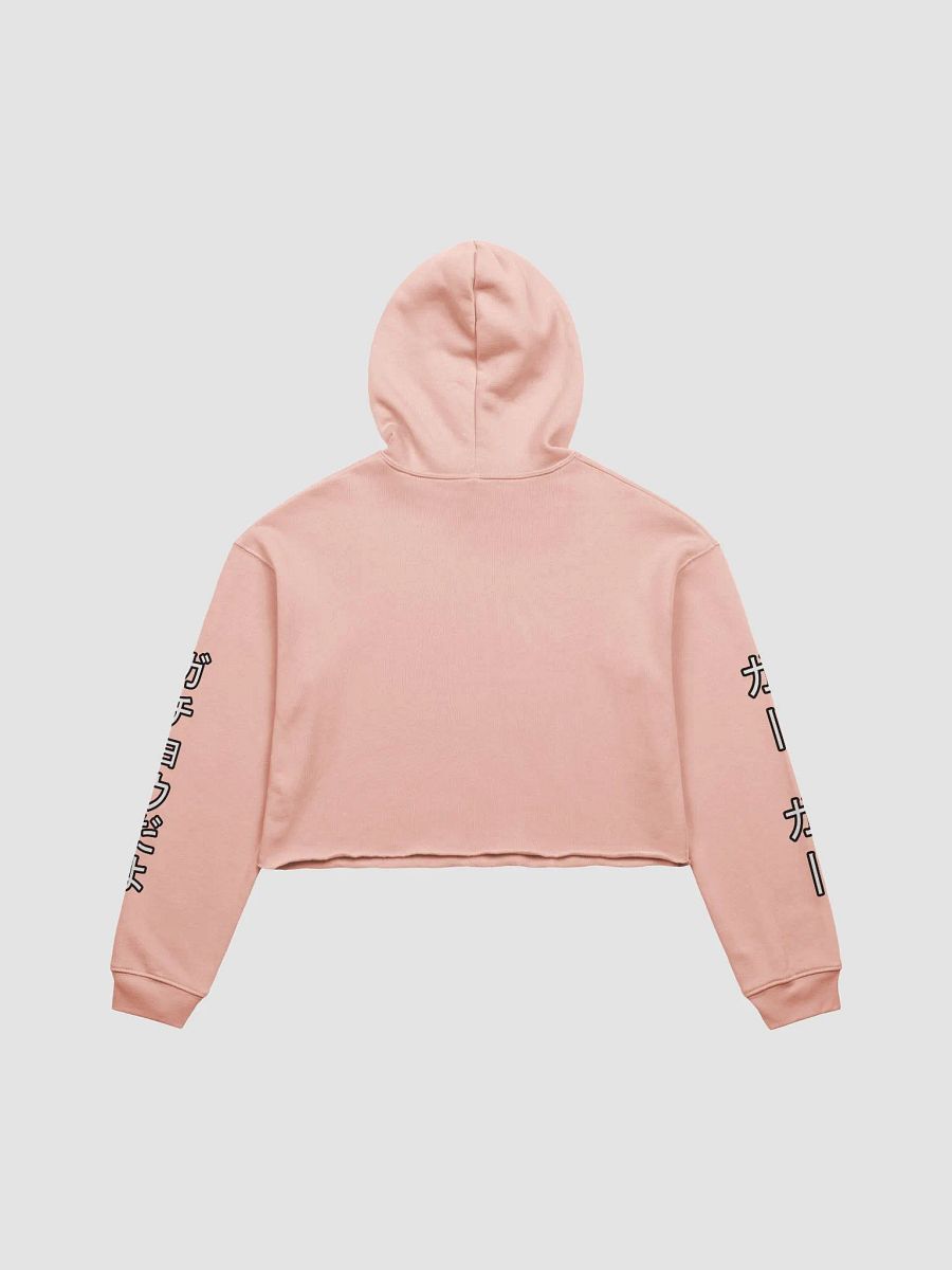 Japanese Text Cropped Hoodie product image (3)