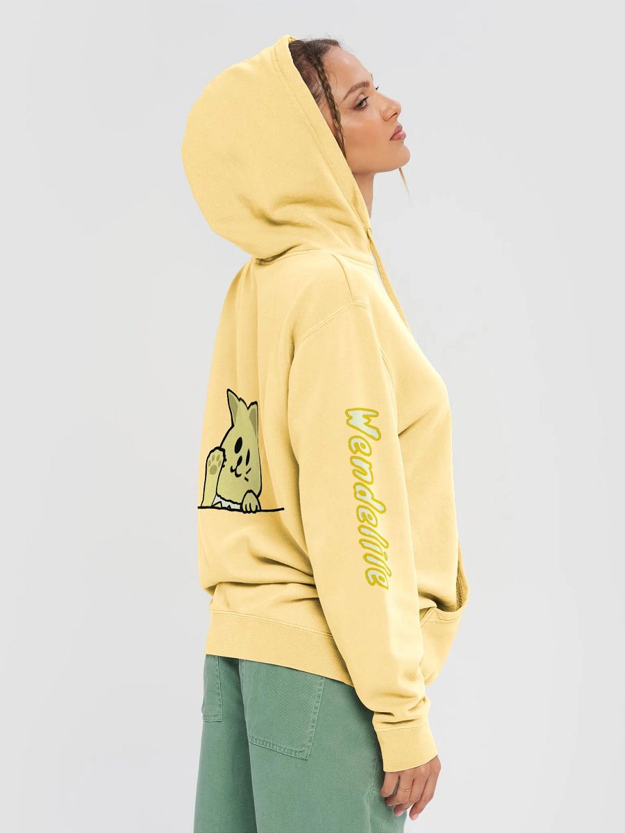 Special Cat Hoodie product image (5)