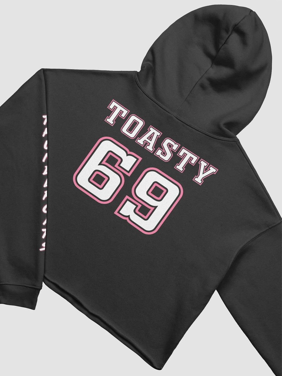 Toasted Thundercats Crop Hoodie product image (26)