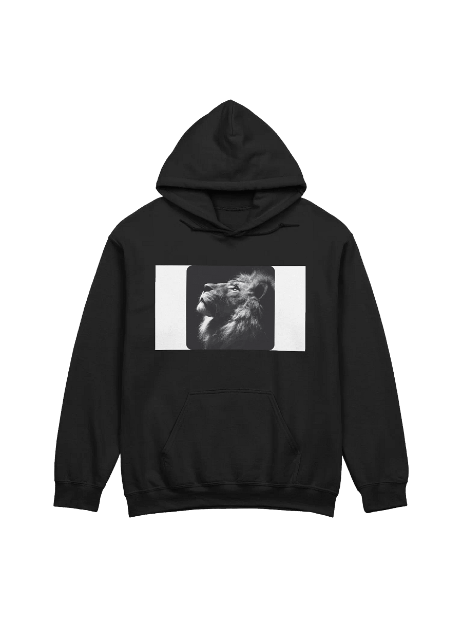 Sudadera deportiva product image (12)