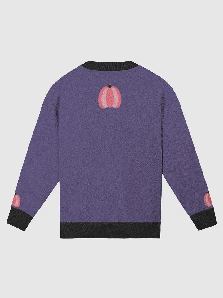 Purple & Pink Pumpkin Sweater product image (10)