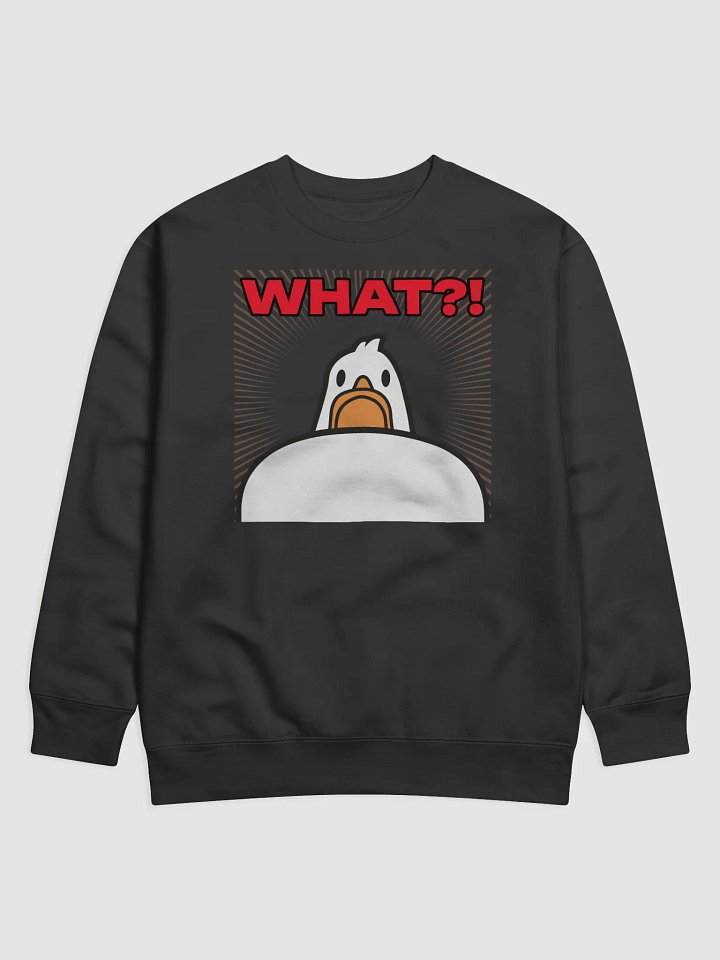 WHAT?! Sweater product image (1)