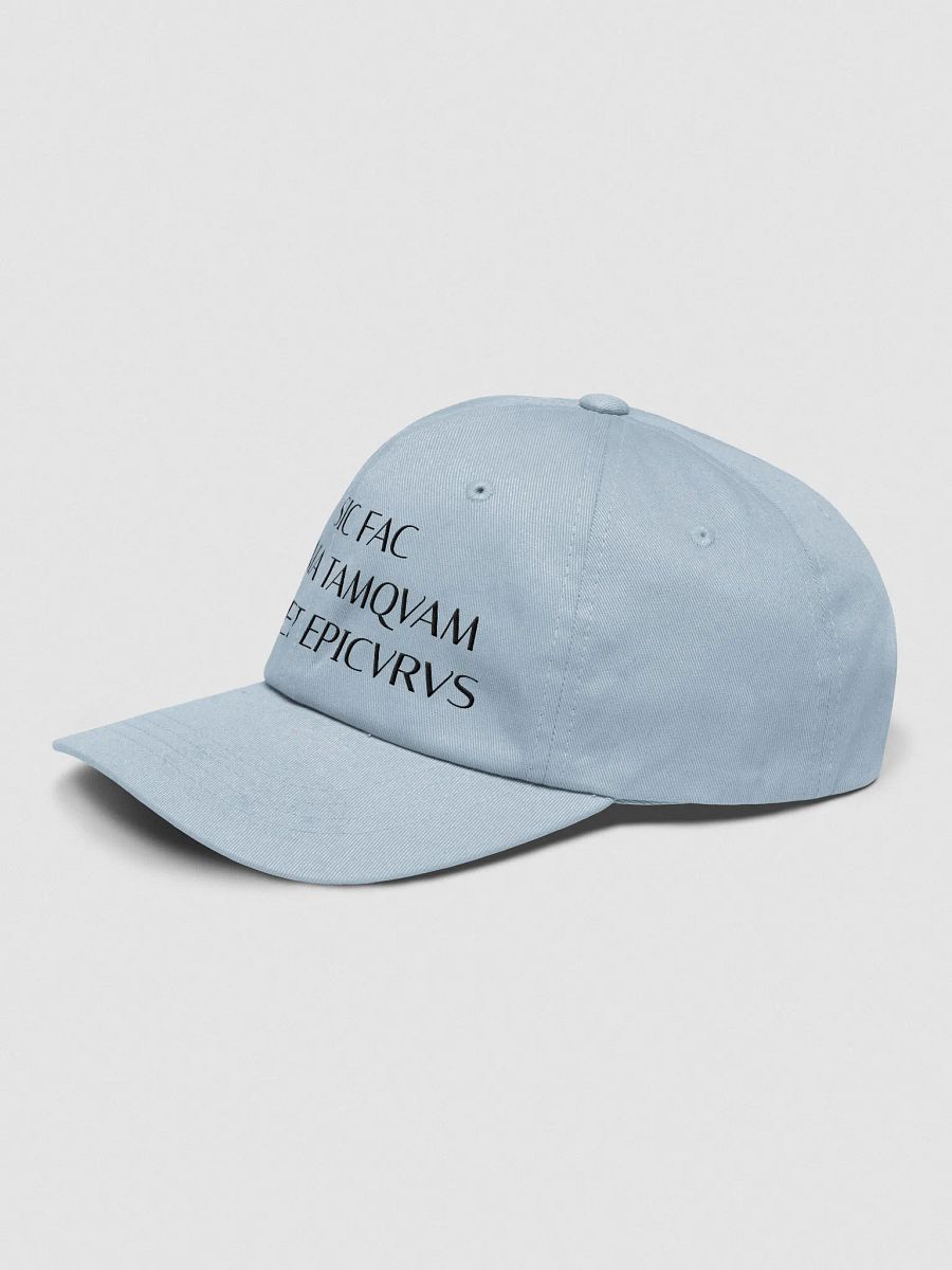 SFOTSE DARK (Classic Dad Hat) product image (52)