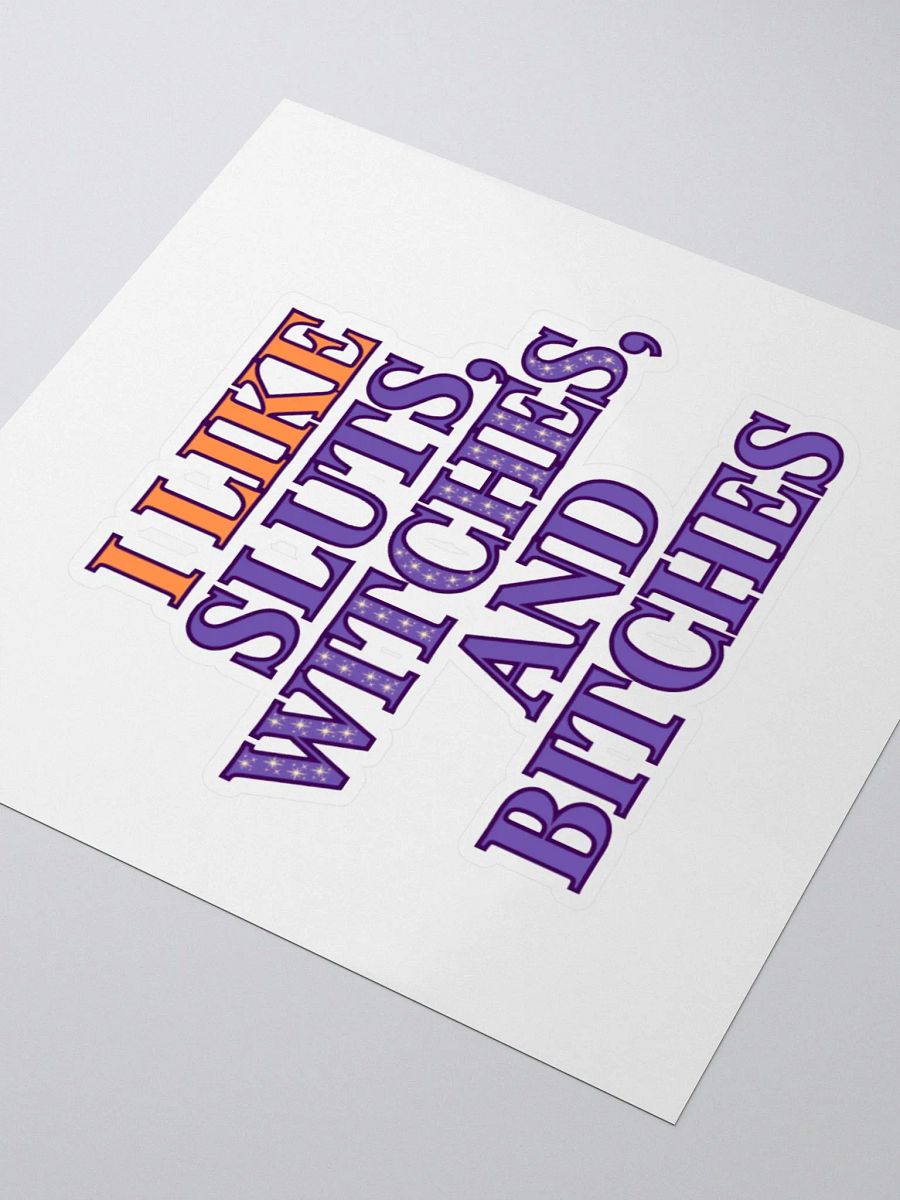 Sluts, Witches, Bitches Sticker product image (3)